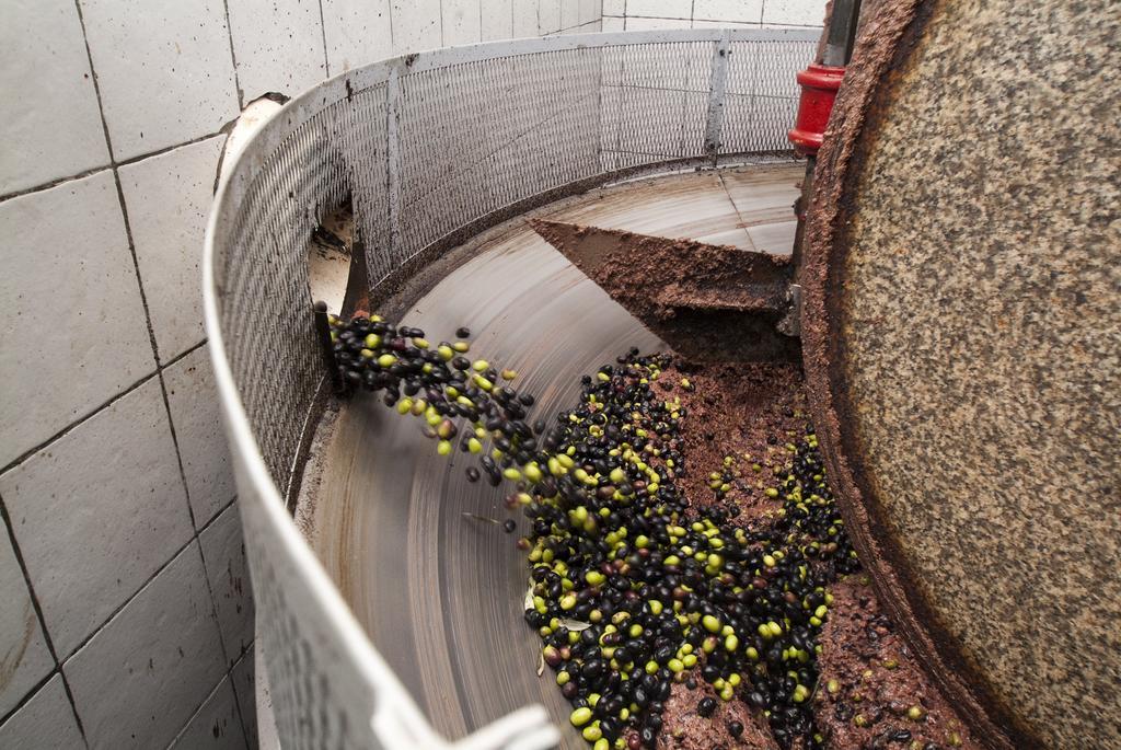 Podere Campofossato 피스토이아 외부 사진